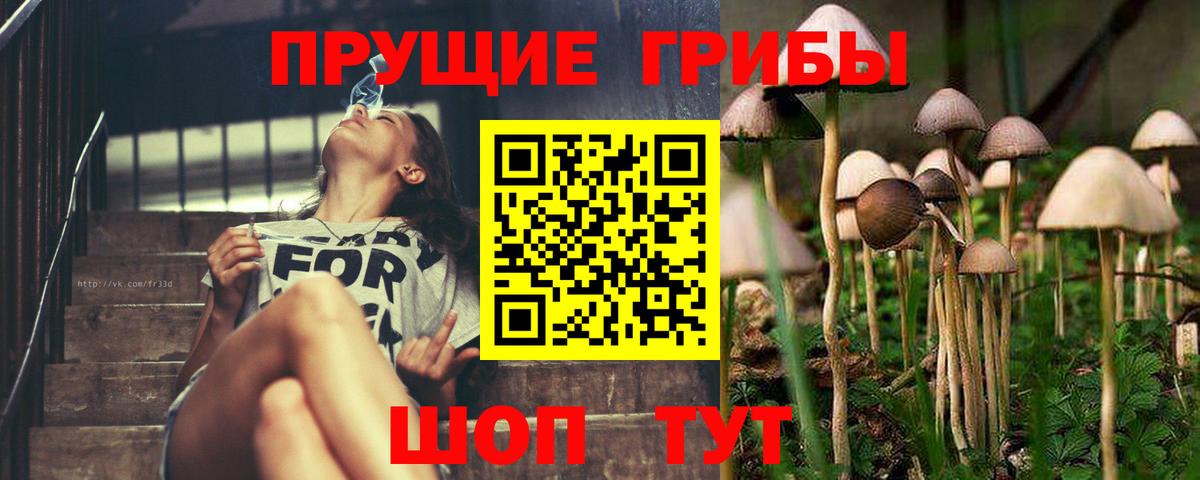Псилоцибиновые грибы MAGIC MUSHROOMS  Вход с VPN  Назрань  Псилоцибиновые грибы ЛСД 